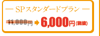 SPスタンダードプラン　11,550円→6,000円（税抜）